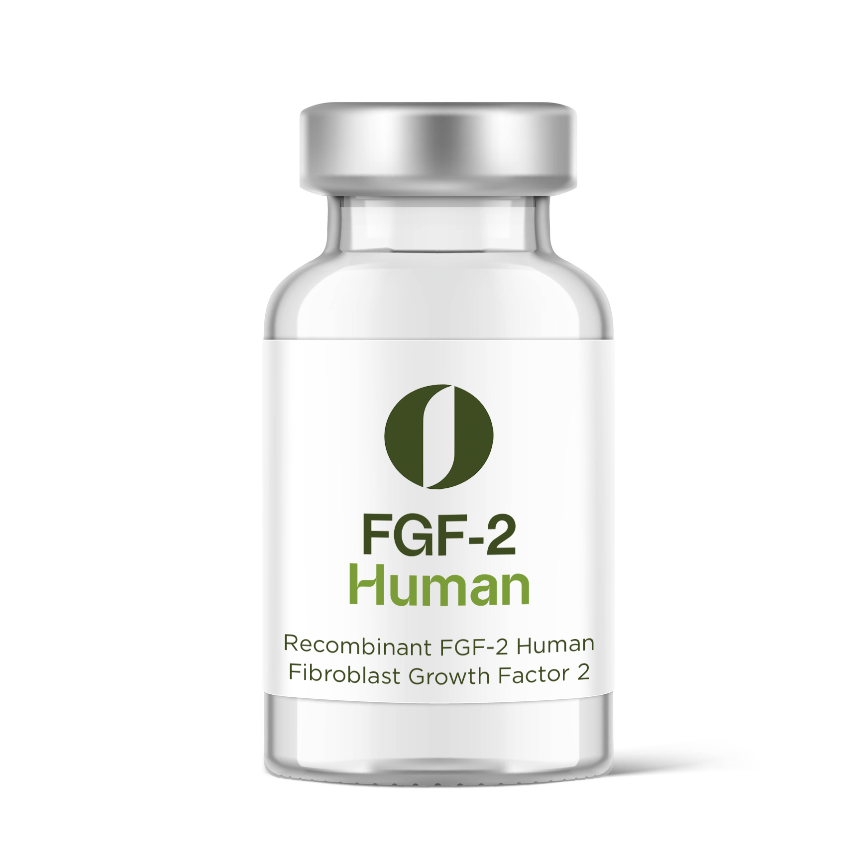 FGF-2 Human